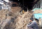 अब बायरल की खामी से सेमीखेडा चीनी मिल पूरी तरह हुई ठप, मिल प्रबंधन ने किसानों से मिले यार्ड में 18 घंटे तक गन्ना न लाने को कहा, जाने मामला