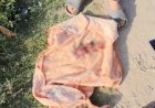 नाले में मिला नवजात और उठे व्यवस्था पर सवाल