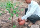 विश्व पर्यावरण दिवस पर सेंथल में रोपे गए नवीन पौधे, संरक्षण का लिया संकल्प