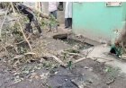बरेली: पुराने शहर में आंधी-बारिश से भारी तबाही; 11 हजार की लाइन पर गिरा पेड़