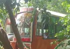 मीरगंज में हाईवे किनारे खाई में गिरी रोडवेज बस, 6 यात्री घायल, मची चीख-पुकार