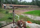 मुर्गी फार्म से पानी की मोटर चोरी, मुकदमा दर्ज