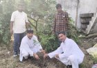 वृहद पौधारोपण महोत्सव में सरकारी संस्थानों के साथ निजी उद्योगों ने भी बढ़ाया कदम