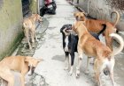 बरेली में दो सफल कॉर्निया प्रत्यारोपण, मरीजों को मिली नई उम्मीद