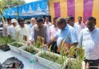 सट्टा मेले में किसानों को सर्वे-सट्टे की त्रुटियां सुधारने का मौका