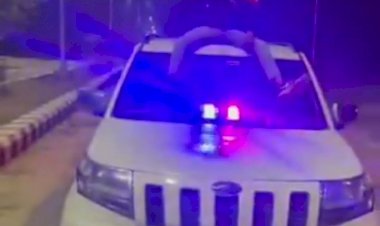 बरेली में ट्रैफिक नियमों की उड़ाई धज्जियां, कार में पुलिस की लाइट और हूटर लगाकर बनाई रील, आप भी देखें जलवा...