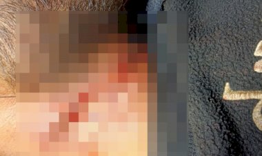 शाही में प्रेमिका को जबरदस्ती छीनने पर प्रेमी ने की आत्महत्या की कोशिश