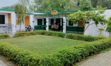 सरकारी विद्यालय बना मिसाल, प्रधानाध्यापक के प्रयासों से बच्चों ने जीते पुरस्कार