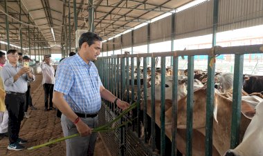 राम नवमी पर डीएम का गौशाला निरीक्षण