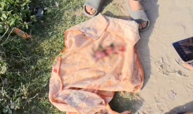 नाले में मिला नवजात और उठे व्यवस्था पर सवाल