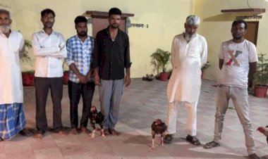भोजीपुरा: आम के बाग में चल रही थी मुर्गों की खूनी लड़ाई, 6 जुआरी गिरफ्तार, 7 लड़ाकू मुर्गे बरामद