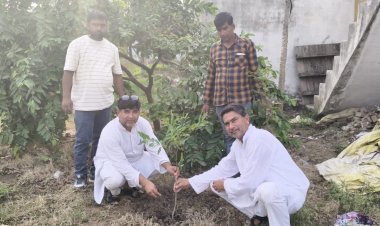 वृहद पौधारोपण महोत्सव में सरकारी संस्थानों के साथ निजी उद्योगों ने भी बढ़ाया कदम