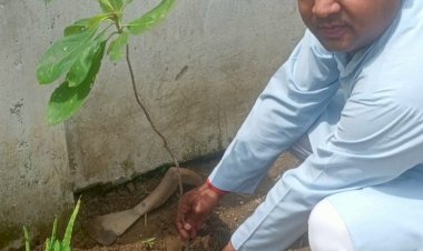 सरस्वती शिशु मंदिर परिसर में 'एक पेड़ माँ के नाम' अभियान के तहत हुआ वृक्षारोपण