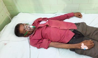 सांड के हमले में किसान घायल