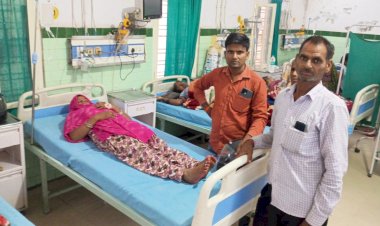 मोबाइल चार्जिंग लगाते समय महिला को सांप ने डसा
