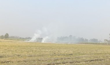शीशगढ़ में पराली के धुएं से बढ़ी परेशानी, ग्रामीणों ने कार्रवाई की मांग उठाई