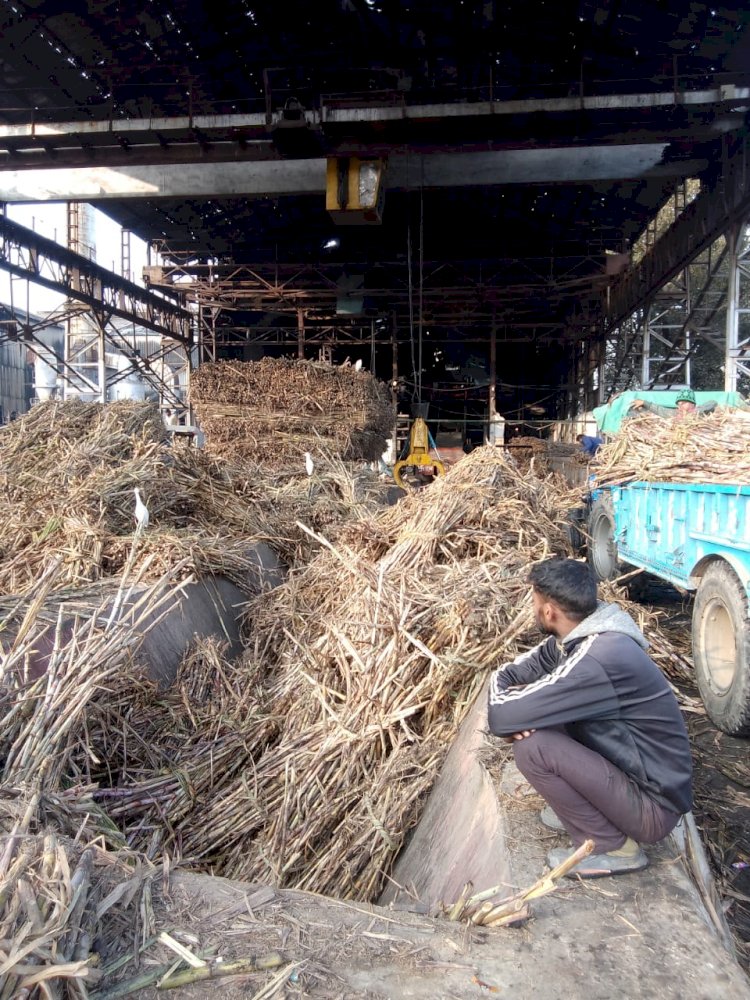 अब बायरल की खामी से सेमीखेडा चीनी मिल पूरी तरह हुई ठप, मिल प्रबंधन ने किसानों से मिले यार्ड में 18 घंटे तक गन्ना न लाने को कहा, जाने मामला