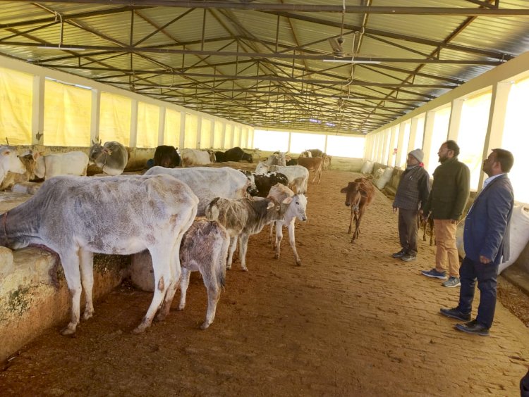 मीरगंज कान्हा गौशाला चिटौली का एसडीएम ने किया औचक निरीक्षण