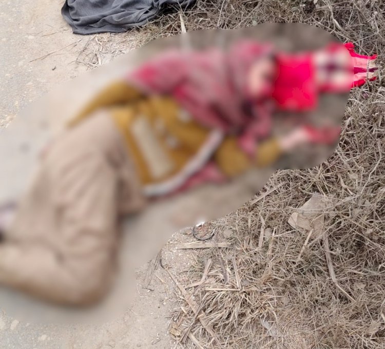 सरधना में महिला पर हमला, किशोरी का अपहरण