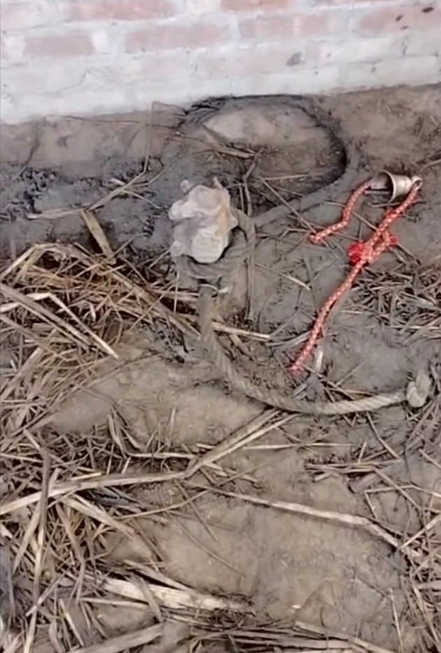 मीरगंज में पशु चोरी, किसान की पशुशाला से चार मवेशी ले उड़े चोर