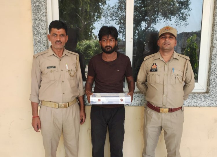 चेकिंग में शातिर गिरफ्तार, अवैध तमंचा और कारतूस बरामद