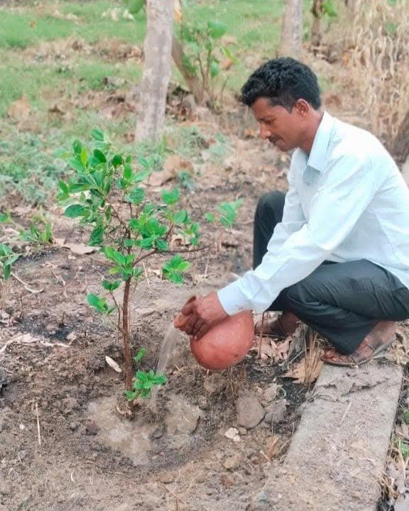 विश्व पर्यावरण दिवस पर सेंथल में रोपे गए नवीन पौधे, संरक्षण का लिया संकल्प
