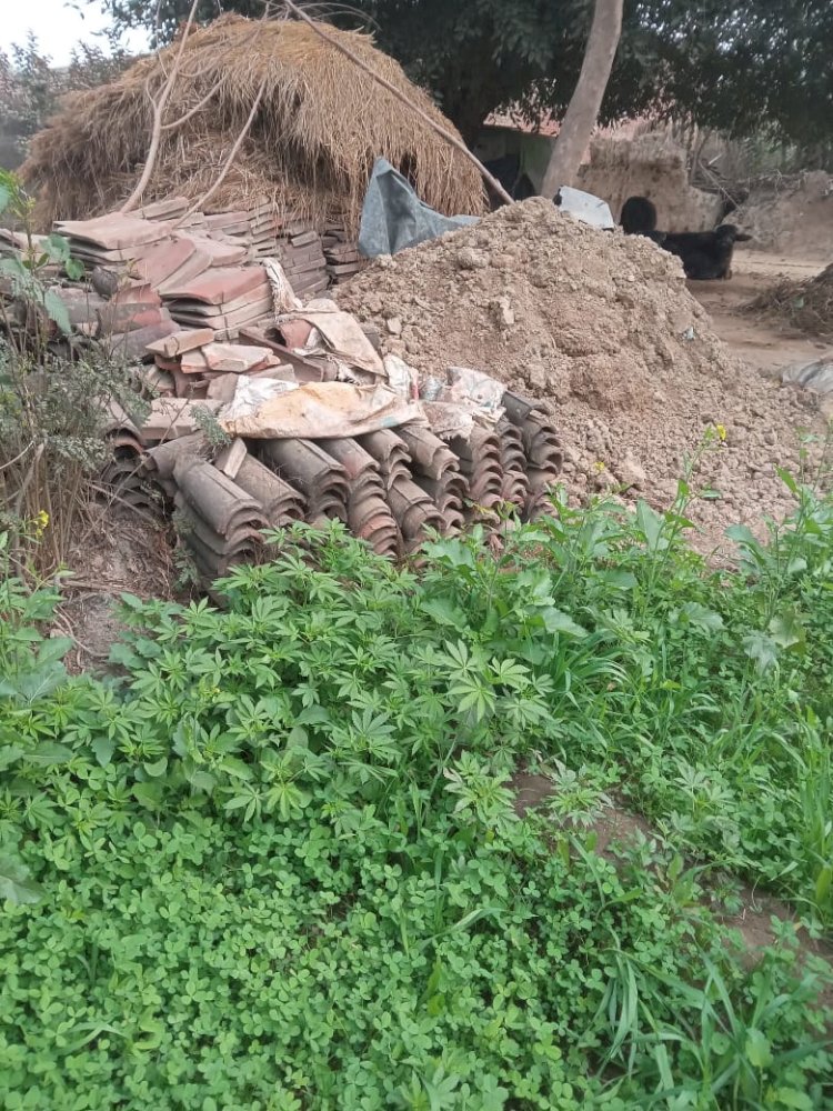 शिकायतों के बाद भी नहीं हटा कब्जा