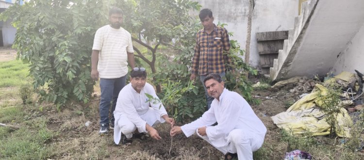वृहद पौधारोपण महोत्सव में सरकारी संस्थानों के साथ निजी उद्योगों ने भी बढ़ाया कदम