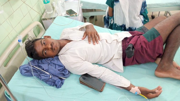 बरेली में सांप के डसने की दो घटनाएं, ग्रामीण और किशोर जिला अस्पताल में भर्ती