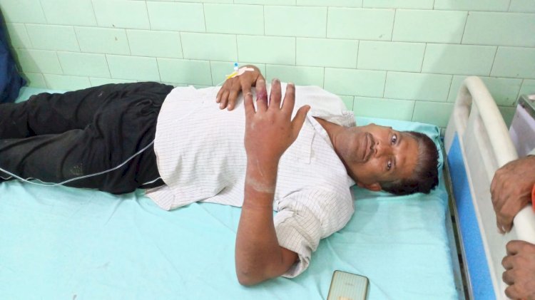बरेली में सांप के डसने की दो घटनाएं, ग्रामीण और किशोर जिला अस्पताल में भर्ती