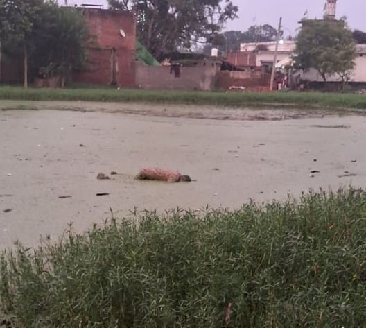 मीरगंज के तालाब में मिला अधेड़ का शव