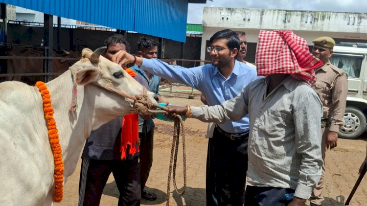 जन्माष्टमी पर कान्हा गौशाला पहुंचे एसडीएम, गौपूजन के साथ परखी व्यवस्थाएं