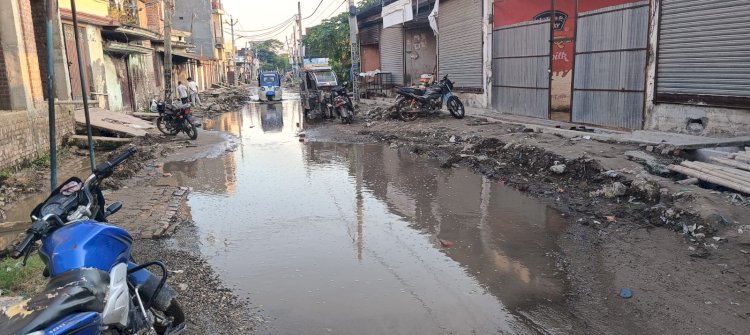 वार्ड 29 में सफाई व्यवस्था बदहाल, जलभराव से लोग परेशान